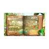 Picture of NSW2 Yoshi and the Mysterious Book