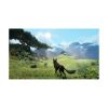 Picture of XSX Lost Ember:Wolf Pack Edition