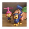 Picture of Spin Master Paw Patrol: Search & Rescue Action Pups Skye (20155505)