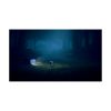 Picture of NSW2 Little Nightmares II - Enhanced Edition
