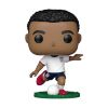 Picture of Funko Pop! Football: USA - Tyler Adams #73 Vinyl Figure