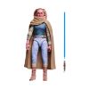 Picture of Hasbro Fans - Star Wars: Bl Oasis (G2584)
