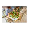 Picture of 
LEGO  DUPLO: Discovery Forest with Wild Animals (10480)