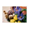 Picture of LEGO Botanicals: Woodland Mushrooms (11505)