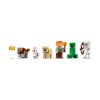 Picture of LEGO Minecraft: First Night Adventure (21593)