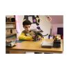 Picture of LEGO Minecraft: The Ender Dragon (21595)