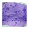 Picture of Loungefly Disney: The Little Mermaid - Ariel & Flounder Tote Bag with Coin Bag (WDTB3509)