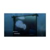 Picture of NSW Digimon Survive (Code in a Box)