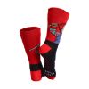 Picture of Cerda: Chucky Adult Socks (38-45) (2900003034)