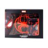Picture of Cerda: Spiderman Laptop Case Set (2600003428)