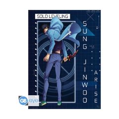 Picture of Abysse: Solo Leveling - Jinwoo Arise Chibi Poster (52X38cm) (GBYDCOA025)