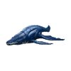 Picture of Mattel Jurassic World: Wild Roar - Brachauchenius (JKL79)
