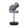 Picture of Nemesis Now: Tyrannosaurus Rex Skull on Plinth (D7553B26)
