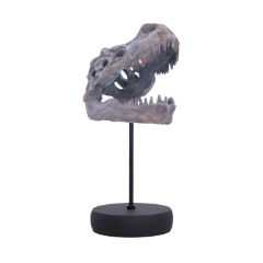 Picture of Nemesis Now: Tyrannosaurus Rex Skull on Plinth (D7553B26)
