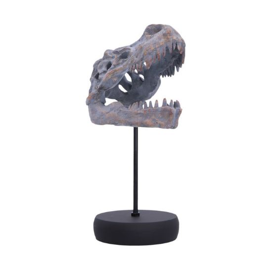 Picture of Nemesis Now: Tyrannosaurus Rex Skull on Plinth (D7553B26)