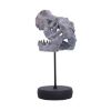 Picture of Nemesis Now: Tyrannosaurus Rex Skull on Plinth (D7553B26)