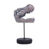Picture of Nemesis Now: Tyrannosaurus Rex Skull on Plinth (D7553B26)