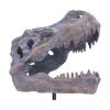 Picture of Nemesis Now: Tyrannosaurus Rex Skull on Plinth (D7553B26)