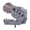 Picture of Nemesis Now: Tyrannosaurus Rex Skull on Plinth (D7553B26)