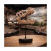 Picture of Nemesis Now: Tyrannosaurus Rex Skull on Plinth (D7553B26)