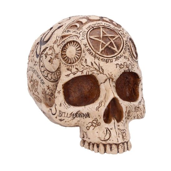Picture of Nemesis Now: Premium Quality - Apothecary Skull (B7537B26)
