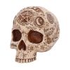Picture of Nemesis Now: Premium Quality - Apothecary Skull (B7537B26)