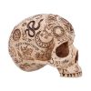 Picture of Nemesis Now: Premium Quality - Apothecary Skull (B7537B26)