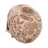 Picture of Nemesis Now: Premium Quality - Apothecary Skull (B7537B26)