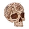 Picture of Nemesis Now: Premium Quality - Apothecary Skull (B7537B26)