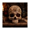 Picture of Nemesis Now: Premium Quality - Apothecary Skull (B7537B26)