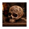 Picture of Nemesis Now: Premium Quality - Apothecary Skull (B7537B26)