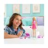 Picture of Mattel Barbie: Family & Friends (JMJ47)
