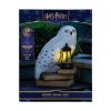Picture of Paladone LunaGlo: Harry Potter - Hedwig Gnome Light (PP16200HP)