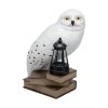 Picture of Paladone LunaGlo: Harry Potter - Hedwig Gnome Light (PP16200HP)