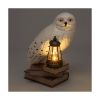 Picture of Paladone LunaGlo: Harry Potter - Hedwig Gnome Light (PP16200HP)