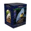 Picture of Paladone LunaGlo: Harry Potter - Hedwig Gnome Light (PP16200HP)