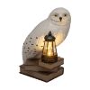 Picture of Paladone LunaGlo: Harry Potter - Hedwig Gnome Light (PP16200HP)