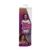 Picture of Mattel Barbie: Fashionistas (12 Designs) – Barbie Doll (HRH12)