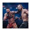 Picture of PS5 EA Sports UFC 6