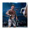 Picture of PS5 EA Sports UFC 6