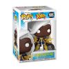 Picture of Funko Pop! Marvel: X-Men '97 - Storm (Wasteland) #1595 Bobble-Head Vinyl Figure