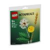 Picture of LEGO Botanicals: Field Flowers (30701)
