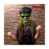 Picture of Hasbro Marvel: Spider-Man - Brand New Day - Hulk Mask (G3443)