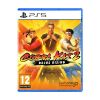 Picture of PS5 Cobra Kai 2: Dojos Rising