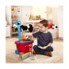 Picture of Spin Master Melissa & Doug: Grocery Basket Play Set (6073085)