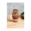 Picture of Paladone: Harry Potter - Mandrake and Plant Pot Salt and Pepper Shakers (PP15886HP)