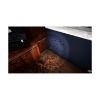 Picture of PS4 House Flipper