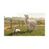 Picture of PS5 Farming Simulator 25:Beans & Alpacas Edition
