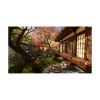 Picture of NSW2 House of Flipper 2 & Sakura DLC (Game Key Card)