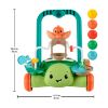 Picture of Fisher-Price: Walkers - Turtle Walker (JKD63)